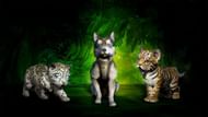The adorable killing machines (Image via Blizzard)